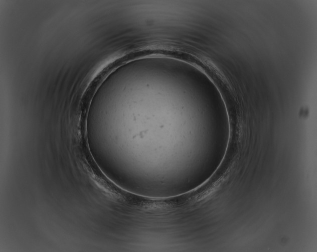 X0000091650830200708301417