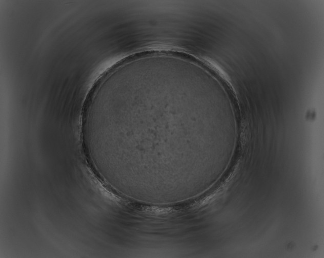 X0000091650831200708301417