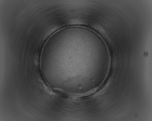 X0000091650833200708301417