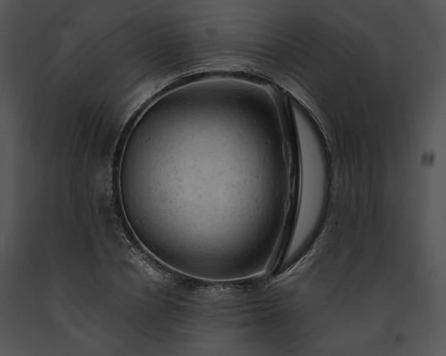 X0000091650834200708301417