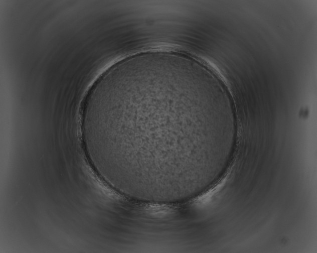 X0000091650835200708301417