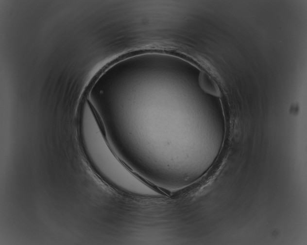 X0000091650838200708301417