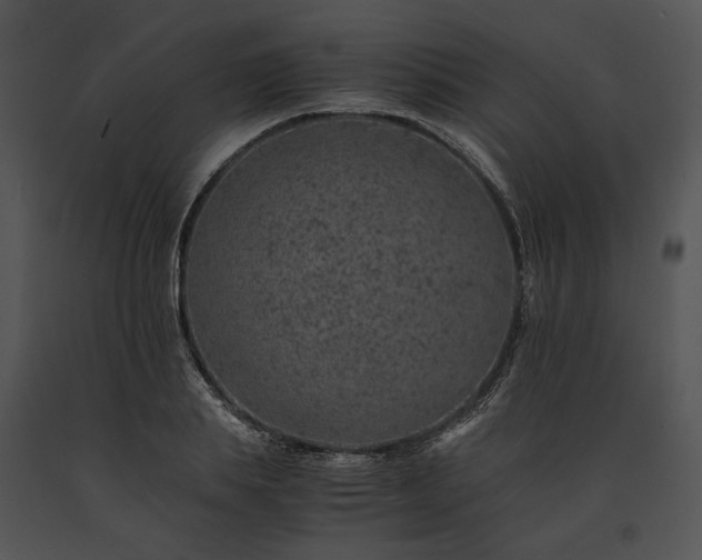 X0000091650839200708301417
