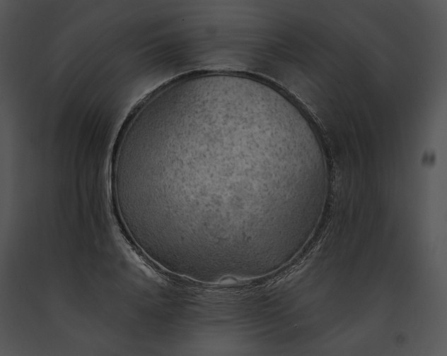 X0000091650840200708301417