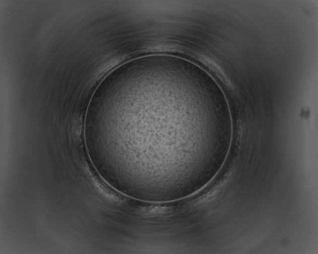 X0000091650841200708301417