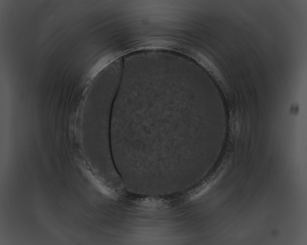 X0000091650842200708301417