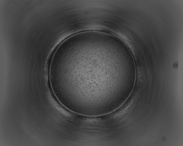 X0000091650843200708301417