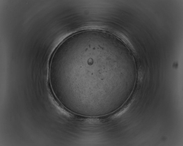X0000091650844200708301417