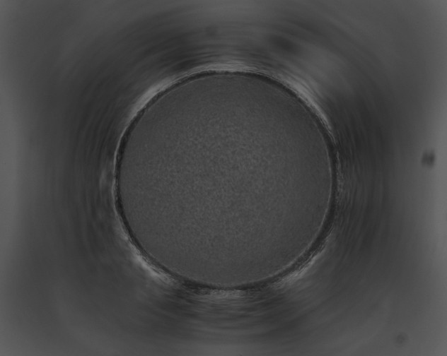 X0000091650845200708301417