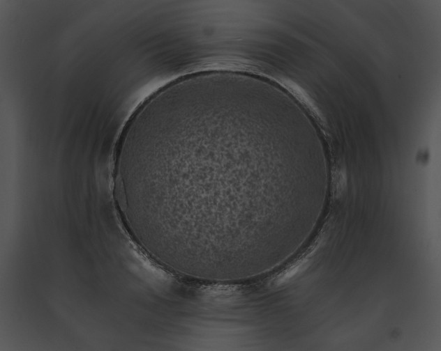X0000091650846200708301417