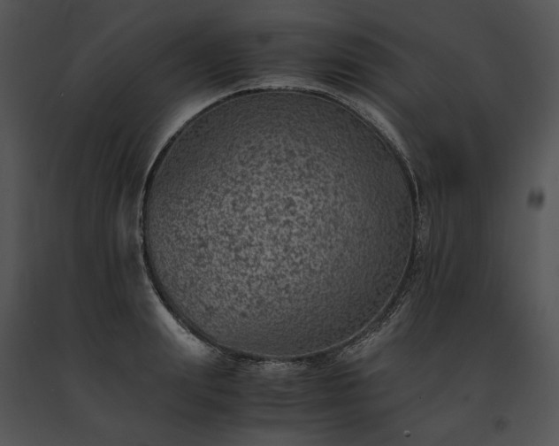 X0000091650847200708301417