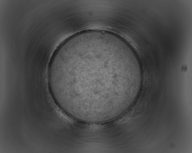 X0000091650848200708301417