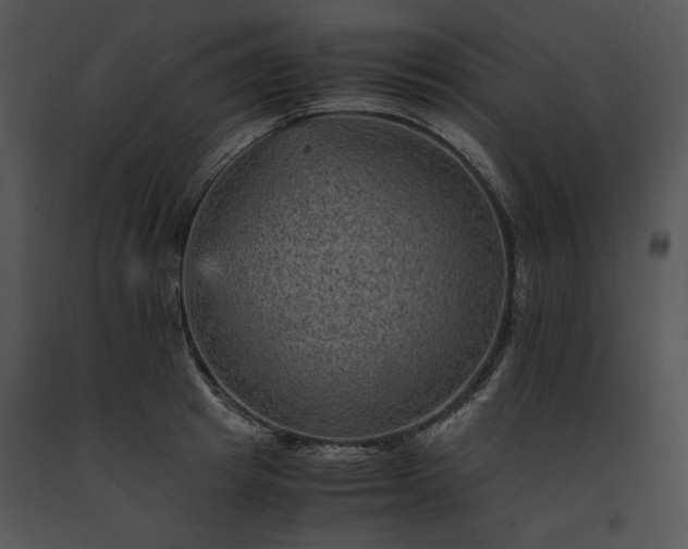 X0000091650849200708301417