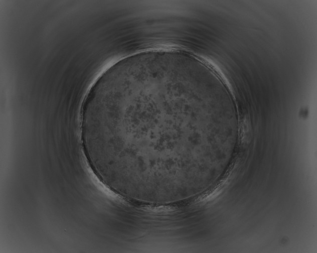 X0000091650851200708301417
