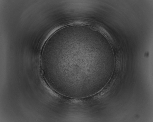 X0000091650852200708301417