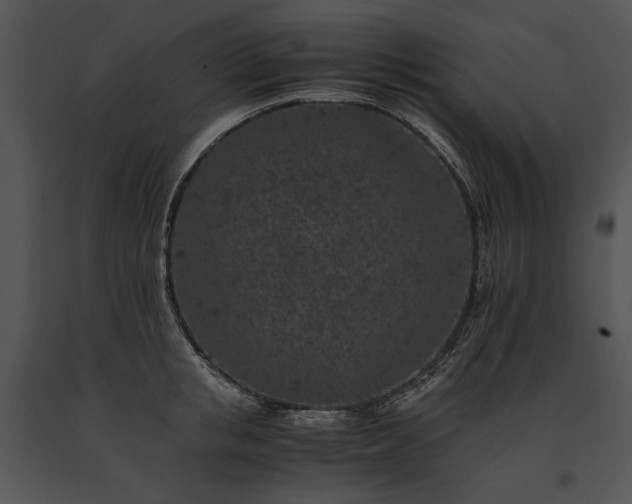 X0000091650853200708301417