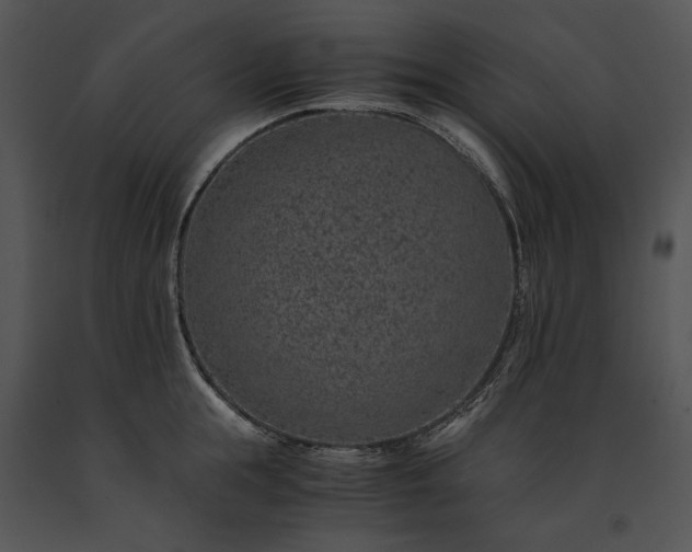 X0000091650855200708301417