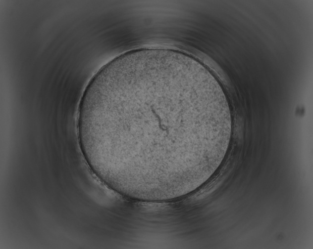 X0000091650856200708301417