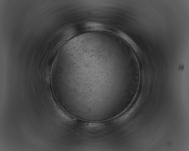 X0000091650857200708301417
