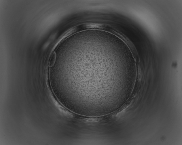X0000091650861200708301417