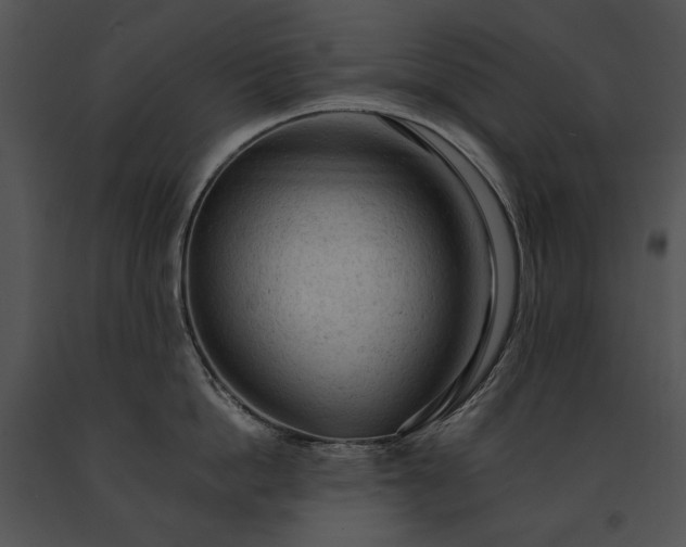 X0000091650862200708301417