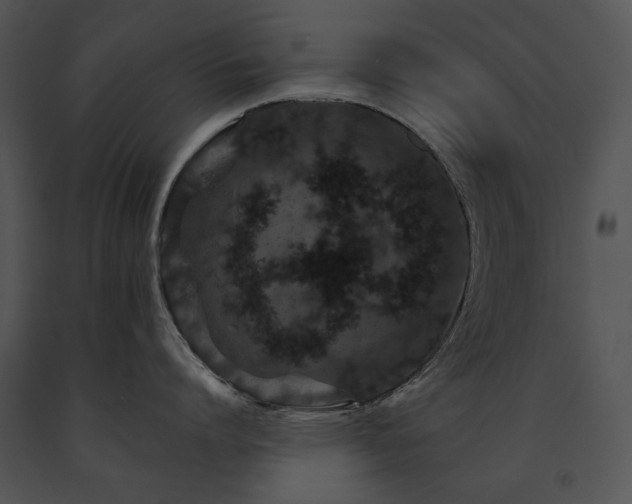 X0000091650864200708301417