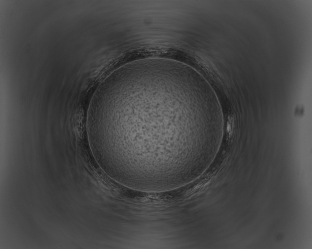 X0000091650867200708301417