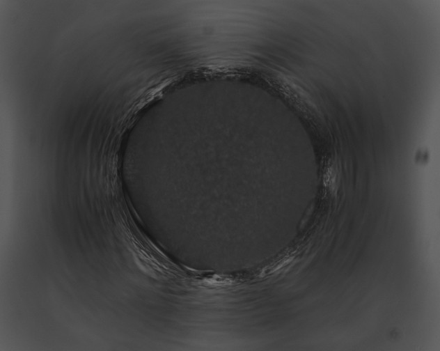 X0000091650868200708301417