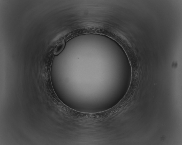 X0000091650869200708301417
