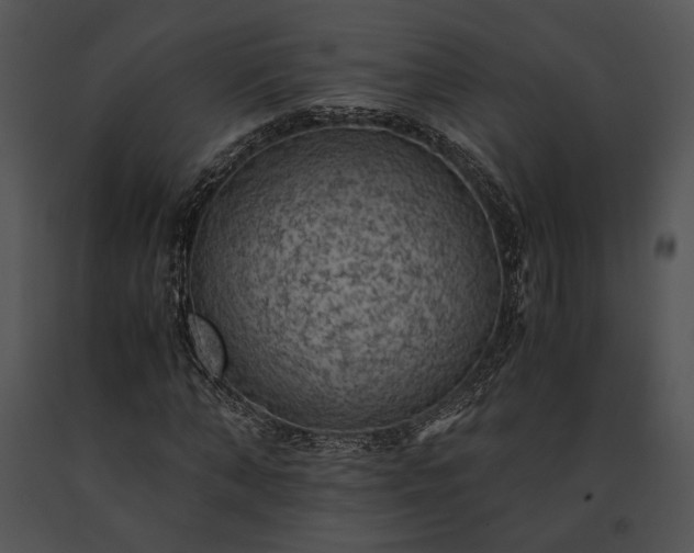 X0000091650870200708301417