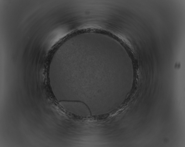 X0000091650872200708301416