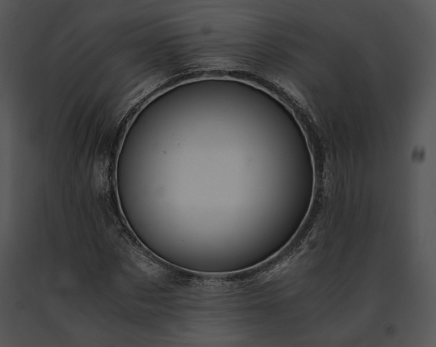 X0000091650873200708301416