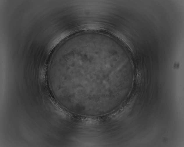 X0000091650874200708301416