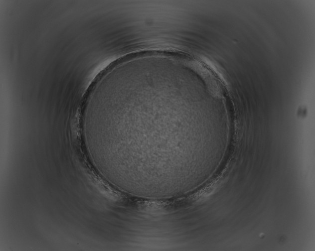 X0000091650875200708301416