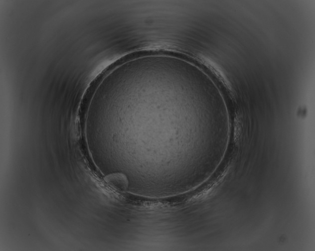 X0000091650876200708301416