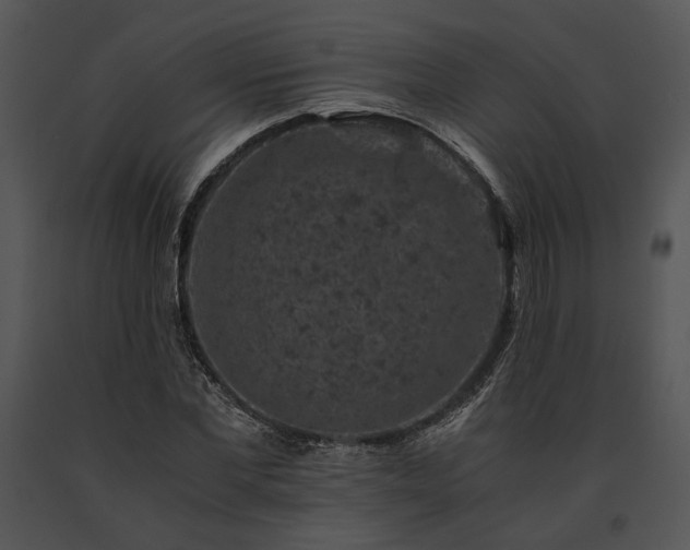 X0000091650877200708301416