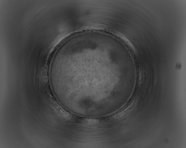 X0000091650878200708301416