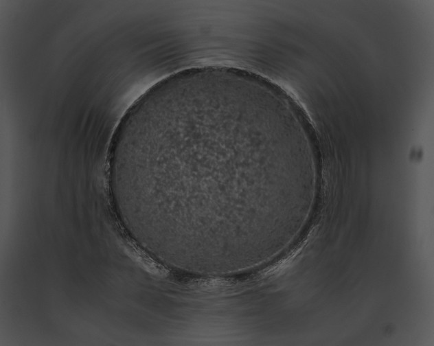 X0000091650879200708301416