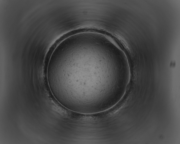 X0000091650880200708301416