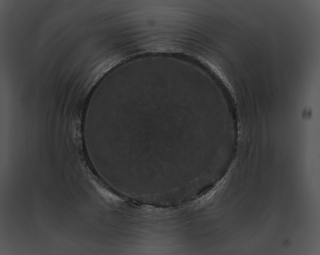X0000091650881200708301416