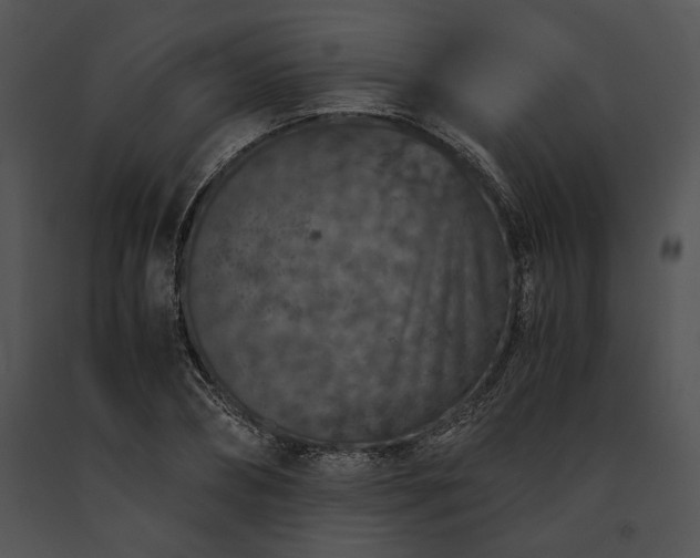 X0000091650882200708301416