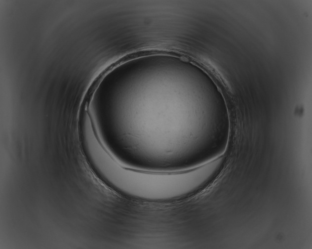 X0000091650884200708301416
