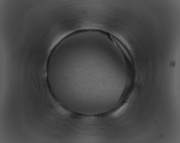 X0000091650885200708301416