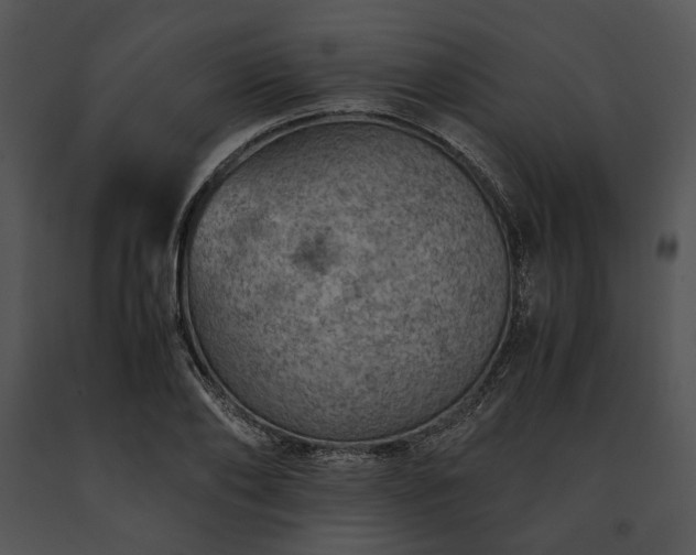 X0000091650886200708301416