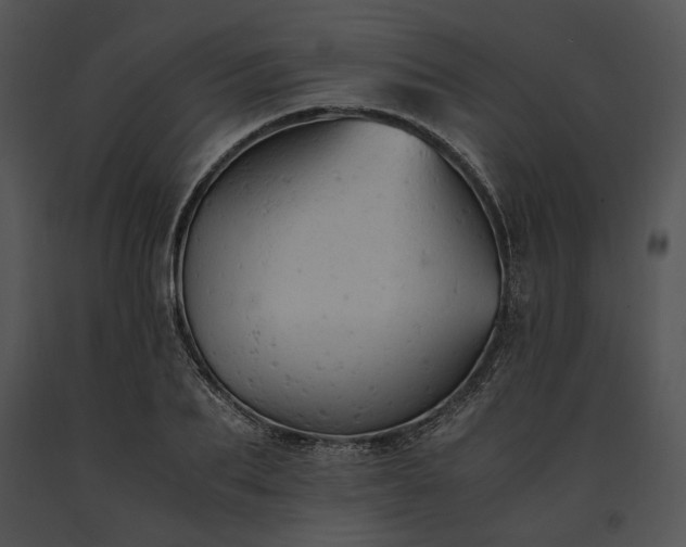 X0000091650887200708301416