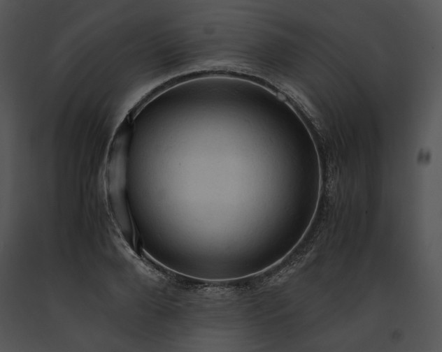 X0000091650888200708301416