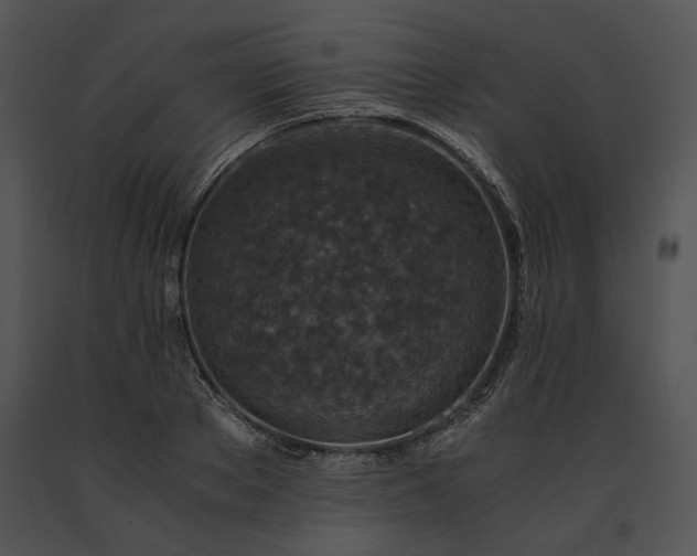 X0000091650889200708301416