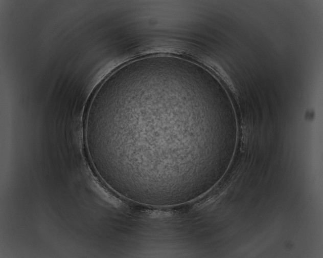 X0000091650890200708301416