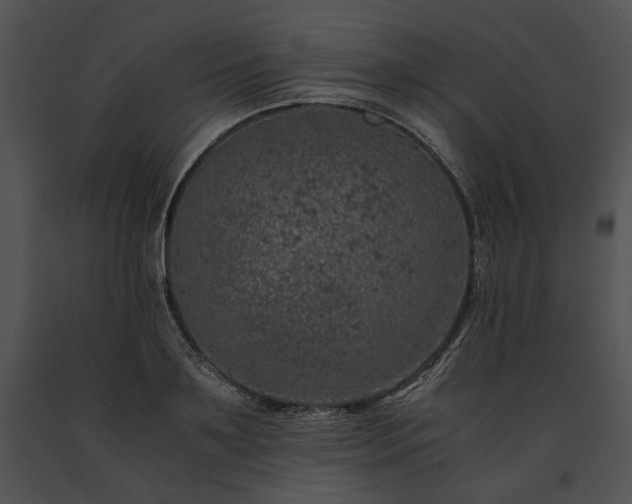 X0000091650891200708301416
