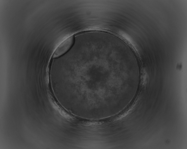 X0000091650892200708301416